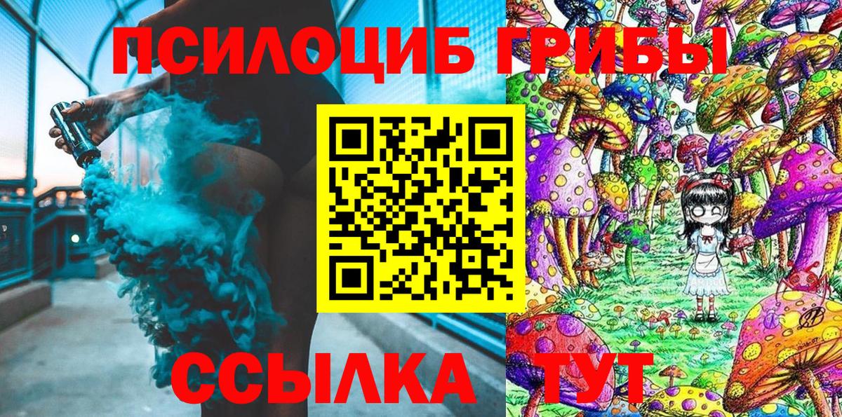 Псилоцибиновые грибы MAGIC MUSHROOMS  Вход с VPN  Фрязино 