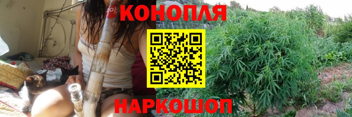 Фрязино  Канабис конопля  Каннабис OG Kush  Вход с VPN  Канабис White Widow  Каннабис Ganja 